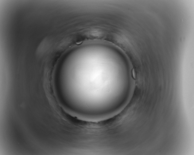 X0000088641297200706011155