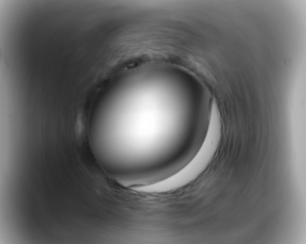 X0000088641298200706011155