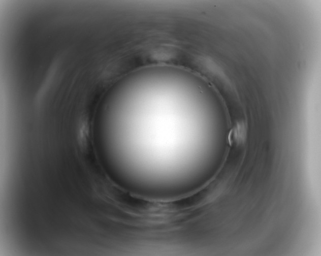X0000088641299200706011155
