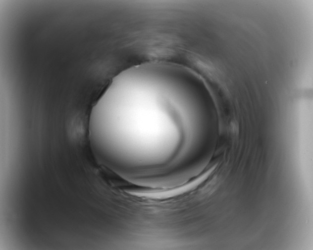X0000088641300200706011155