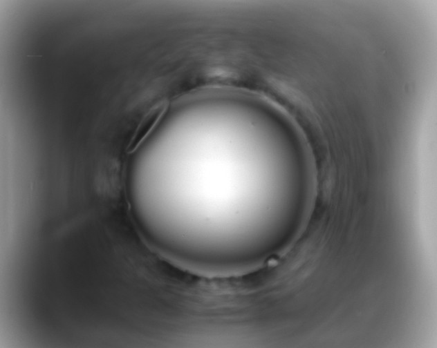 X0000088641301200706011155
