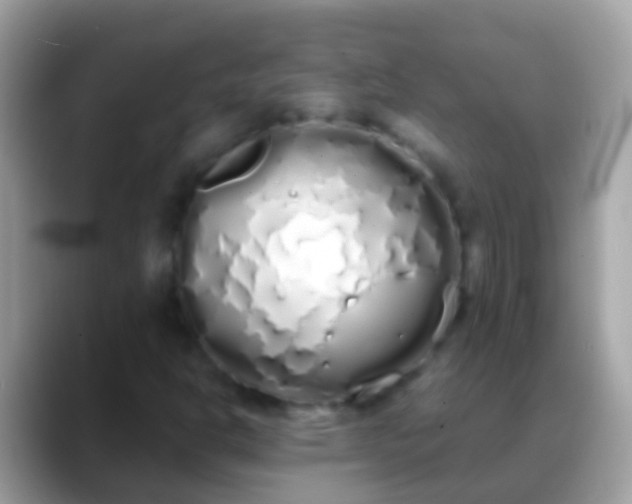 X0000088641302200706011155
