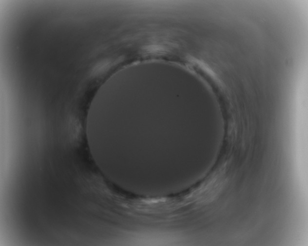 X0000088641303200706011155