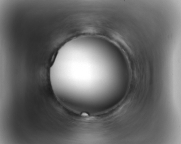 X0000088641304200706011155