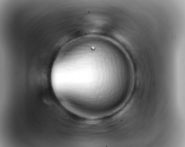 X0000088641305200706011155
