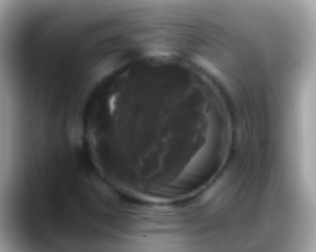 X0000088641306200706011155