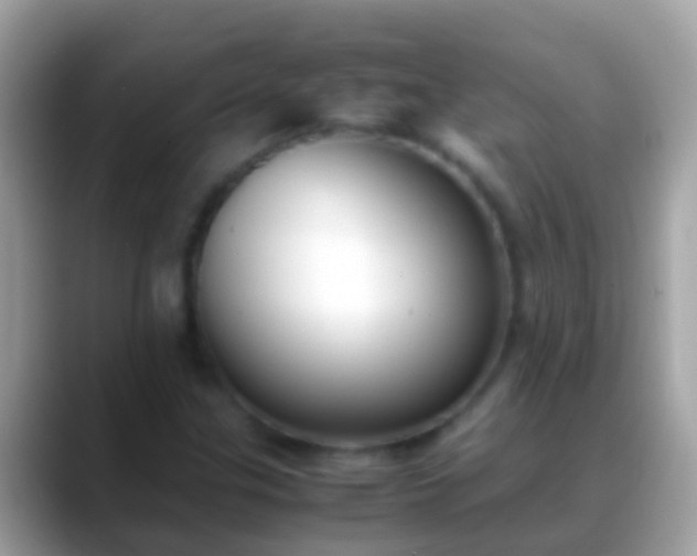 X0000088641307200706011155
