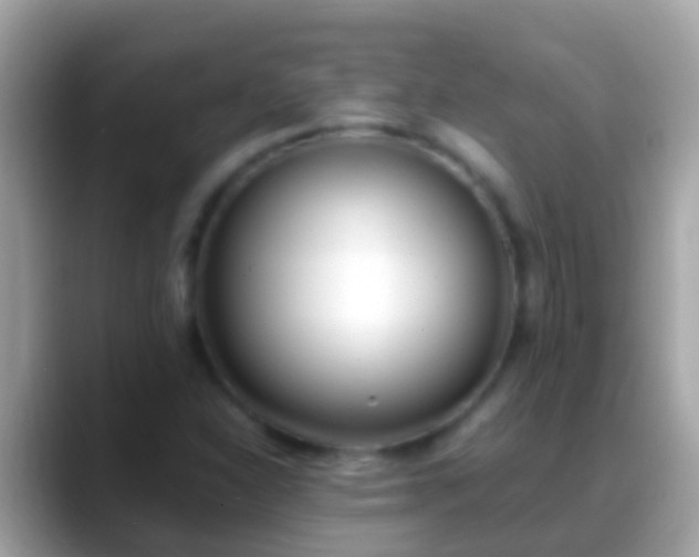 X0000088641310200706011155