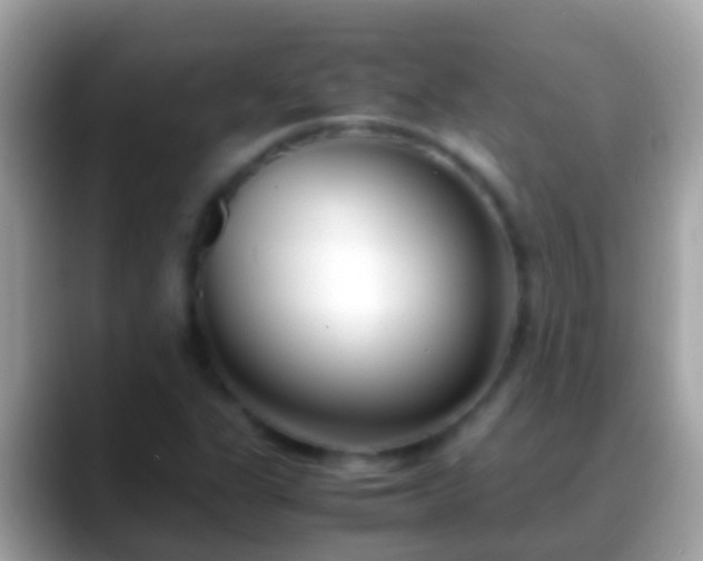 X0000088641311200706011155
