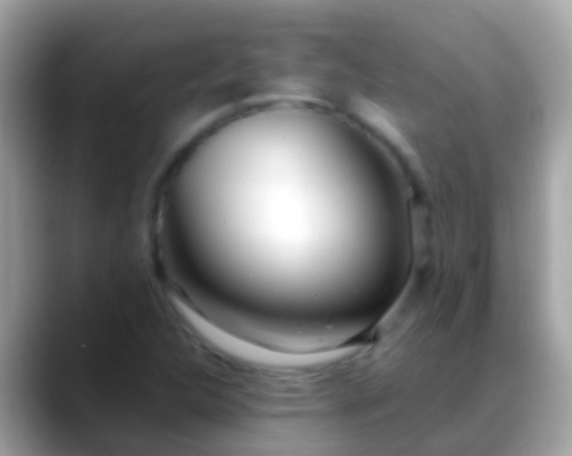 X0000088641312200706011155