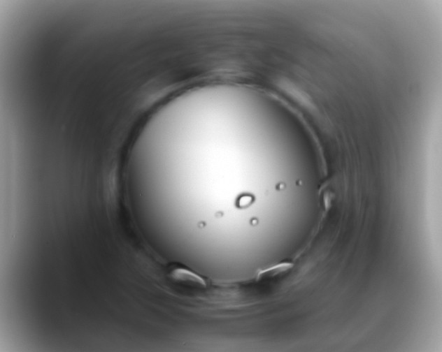 X0000088641315200706011155