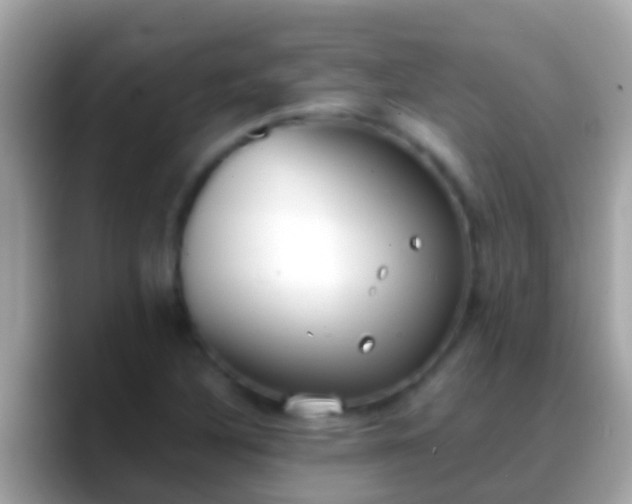 X0000088641316200706011155