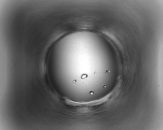 X0000088641317200706011155