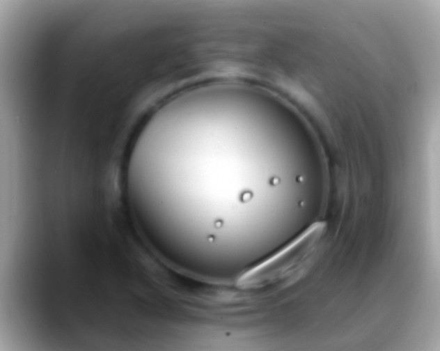 X0000088641318200706011155
