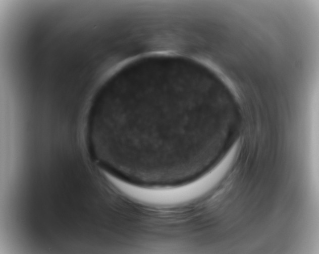 X0000088641319200706011155