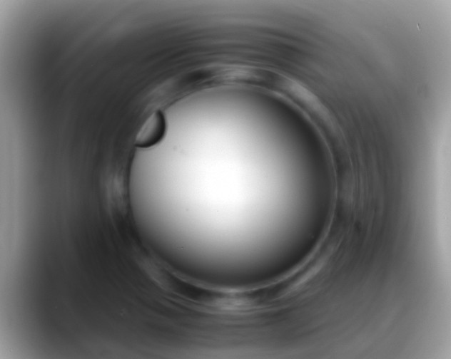 X0000088641321200706011155