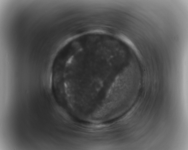 X0000088641323200706011155