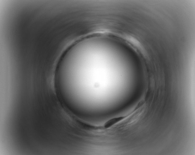 X0000088641326200706011155