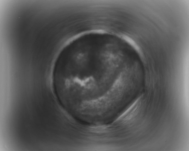 X0000088641327200706011155