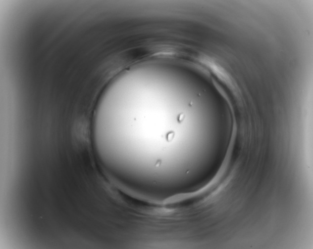X0000088641329200706011155