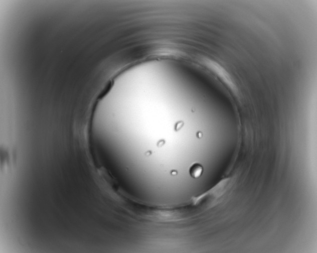 X0000088641330200706011155