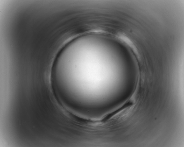X0000088641331200706011155