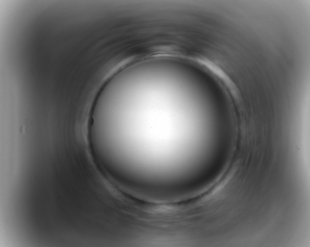 X0000088641333200706011155