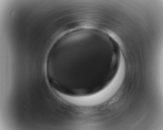 X0000088641334200706011155