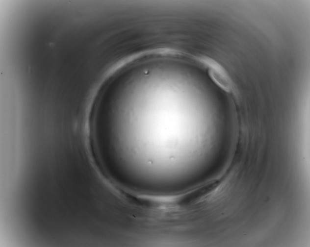 X0000088641335200706011155