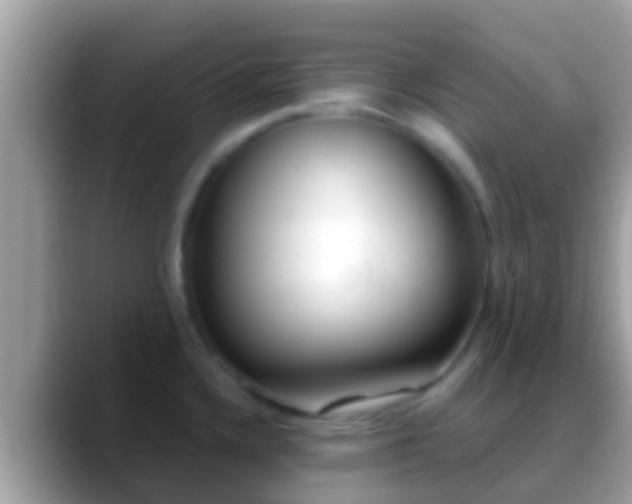 X0000088641336200706011155