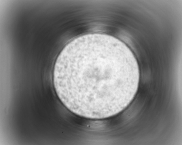 X0000088641338200706011155