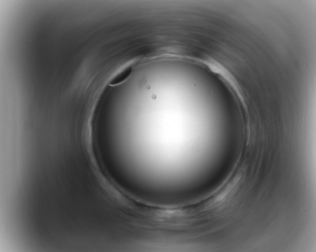 X0000088641341200706011156