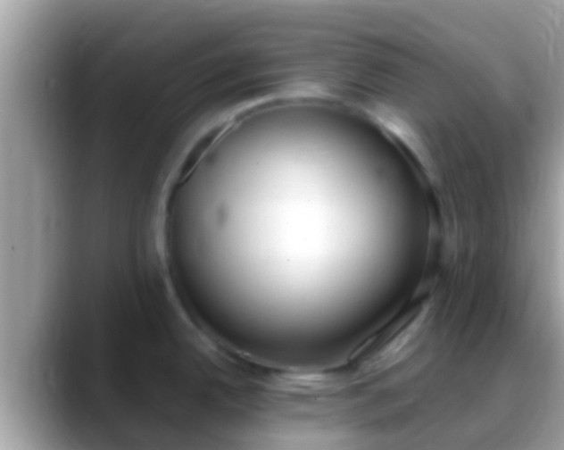 X0000088641342200706011156
