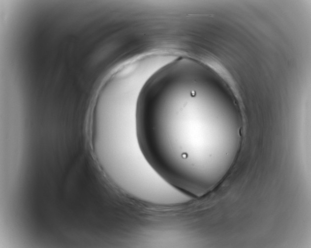 X0000088641344200706011156