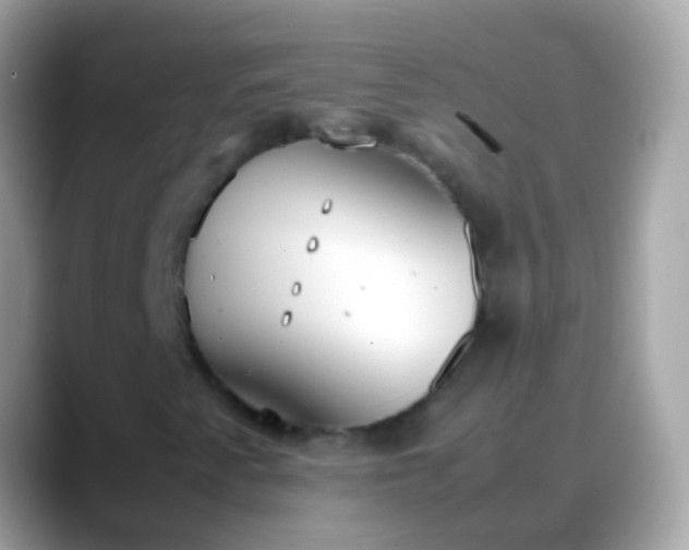X0000088641345200706011155