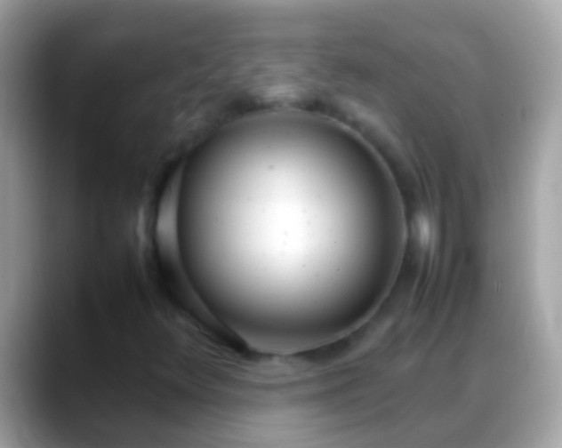 X0000088641348200706011155