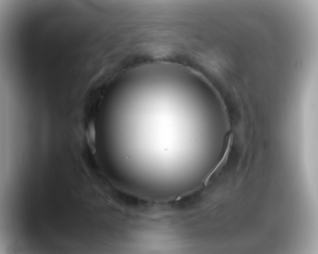 X0000088641349200706011155
