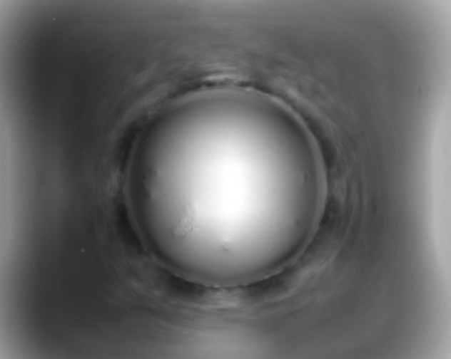 X0000088641351200706011155