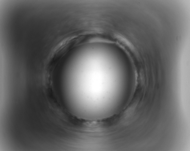 X0000088641352200706011155