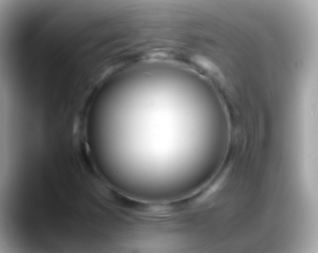 X0000088641353200706011155