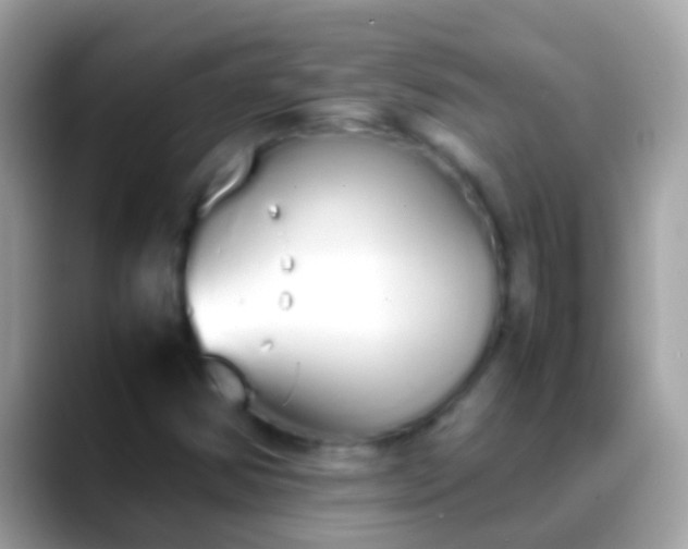 X0000088641354200706011155