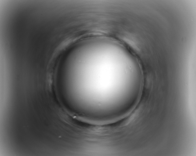 X0000088641355200706011155