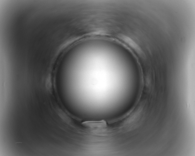 X0000088641356200706011155