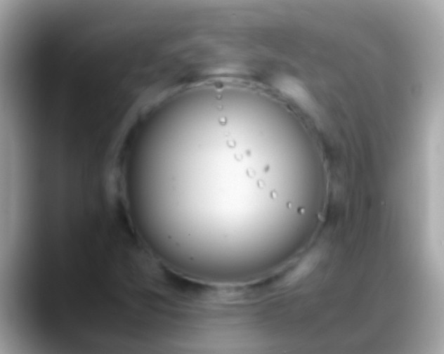 X0000088641357200706011155