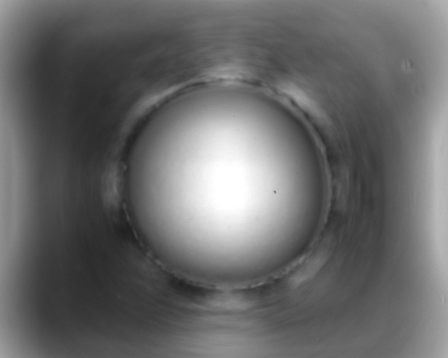 X0000088641358200706011155