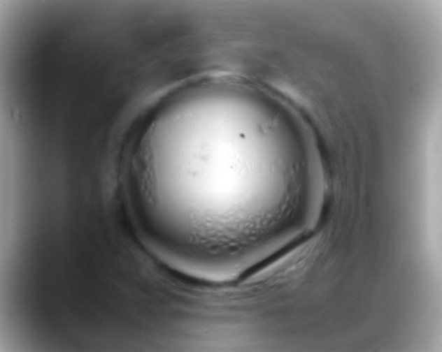 X0000088641359200706011155