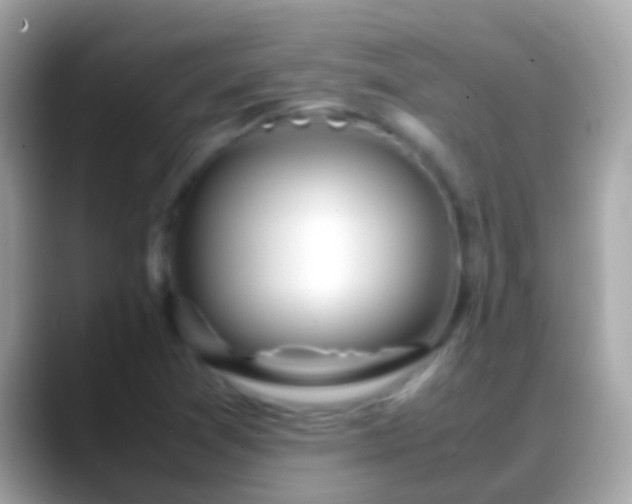 X0000088641361200706011155