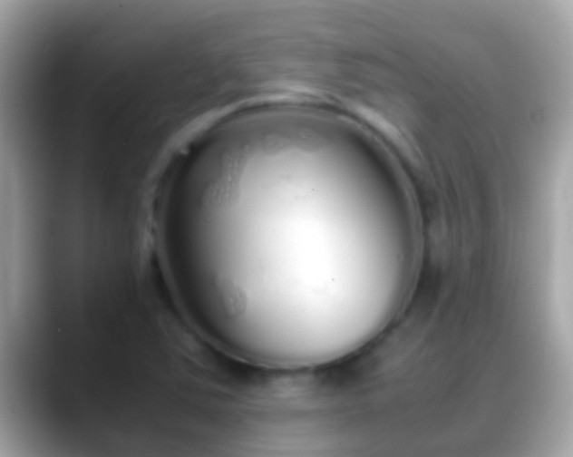 X0000088641363200706011155
