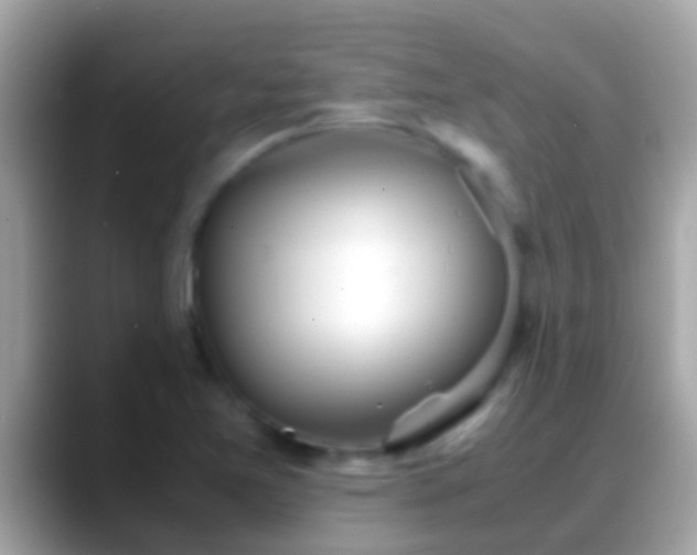 X0000088641365200706011155