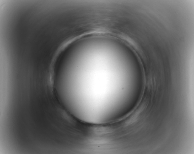 X0000088641366200706011155
